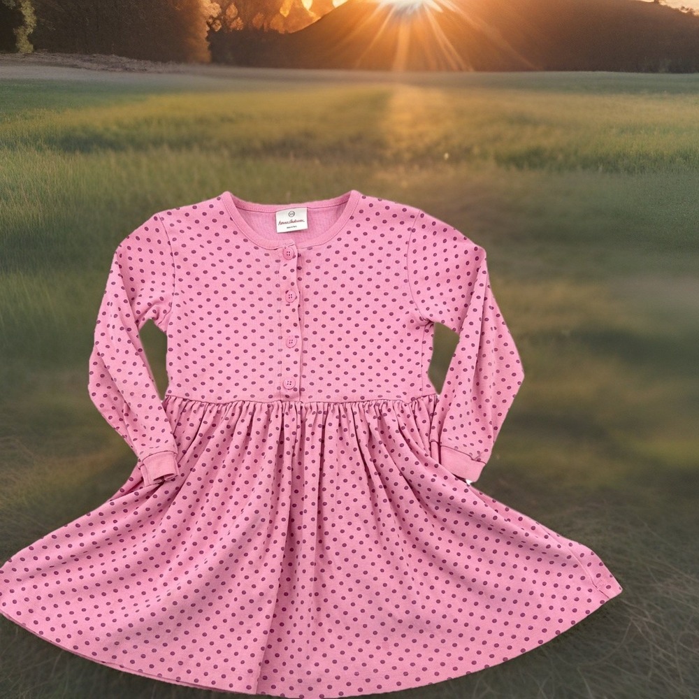 Hanna Andersson Polka Dot Dress Kids 120 Pink Long Sleeve Cotton Playful Classic